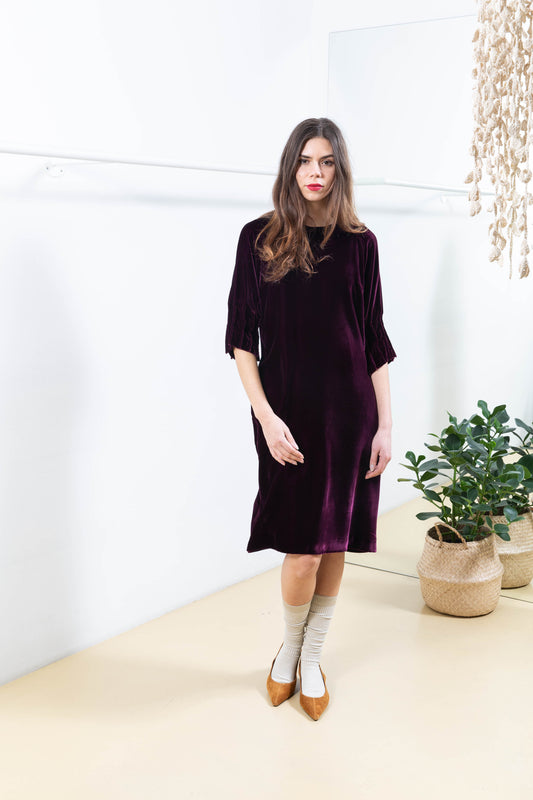 Velvet Dress with Pleated Sleeves